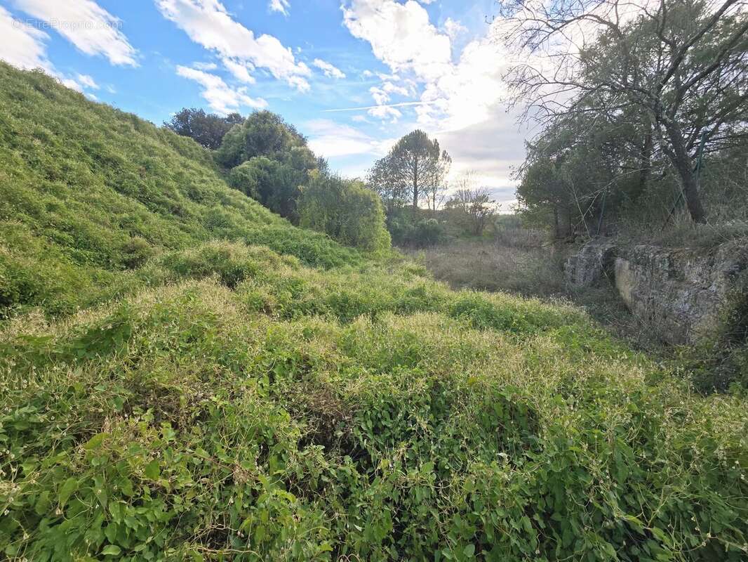 Terrain à SAINT-QUENTIN-LA-POTERIE