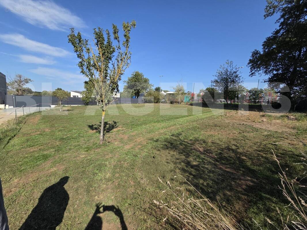 20250919_145717 - Terrain à JOUE-L'ABBE