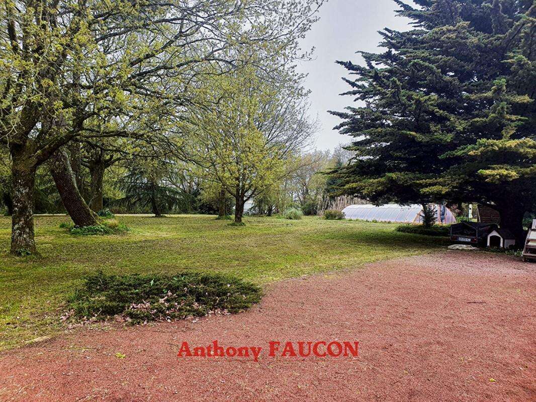 Maison à SAINT-VINCENT-SUR-GRAON