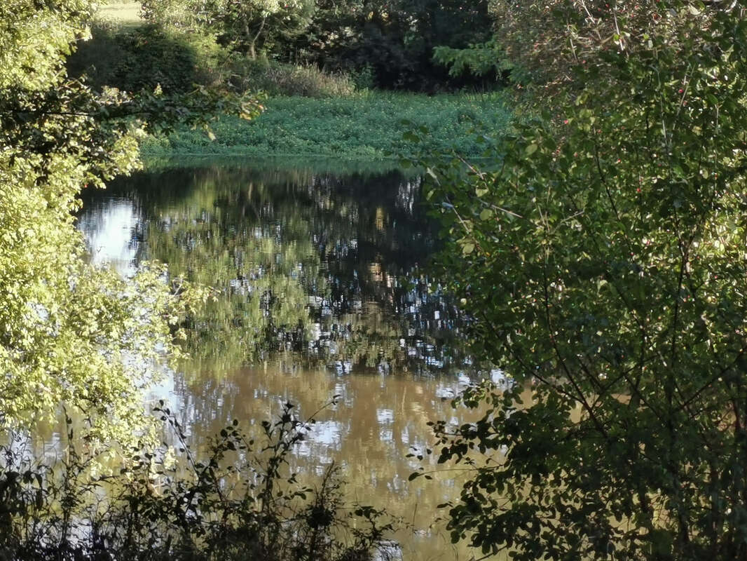 Maison à ROMORANTIN-LANTHENAY