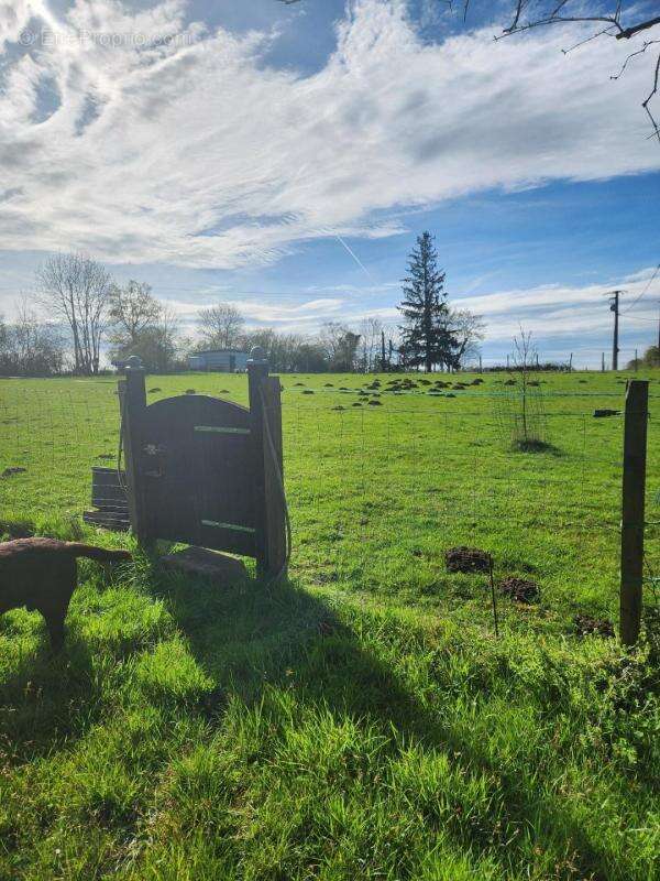 Maison à ROUMAZIERES-LOUBERT