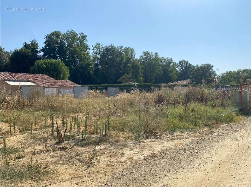 Terrain 378 m² à Labastide-Saint-Pierre  - photo 3
