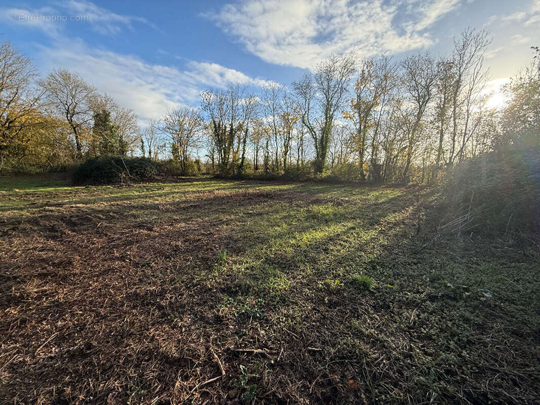 Terrain à BESSINES