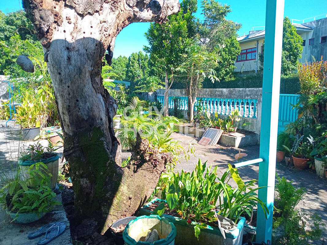 Maison à SAINT-BENOIT