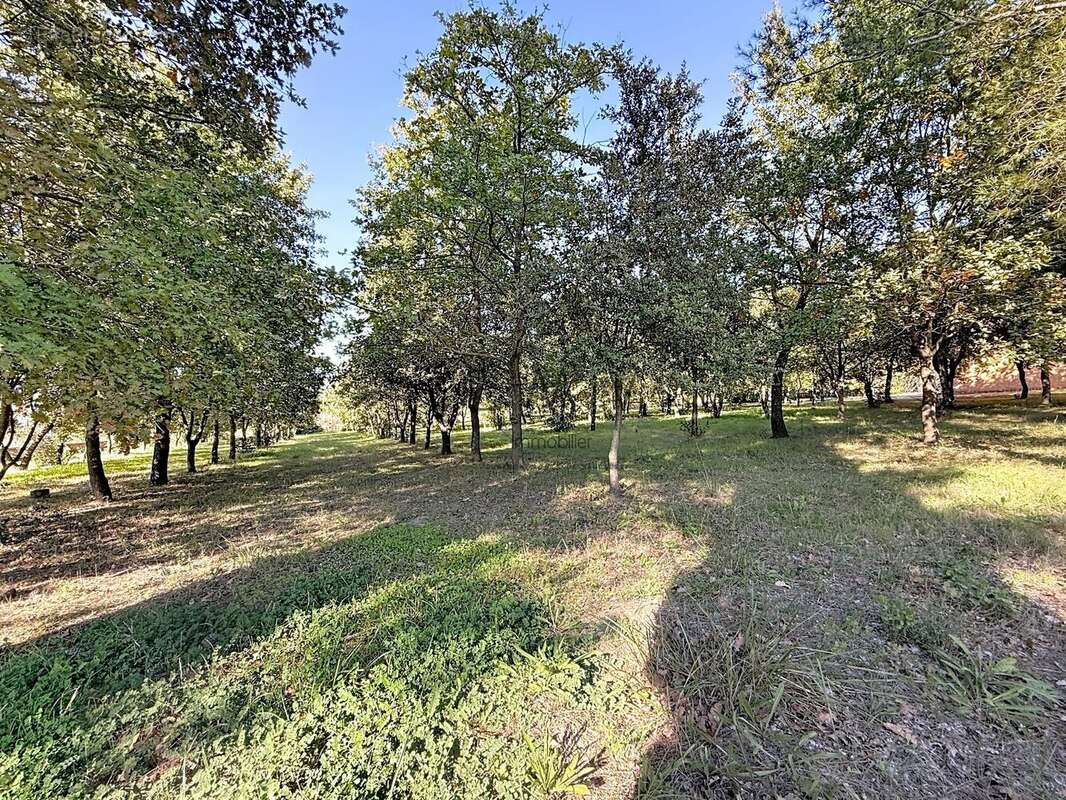 Maison à L&#039;ISLE-SUR-LA-SORGUE