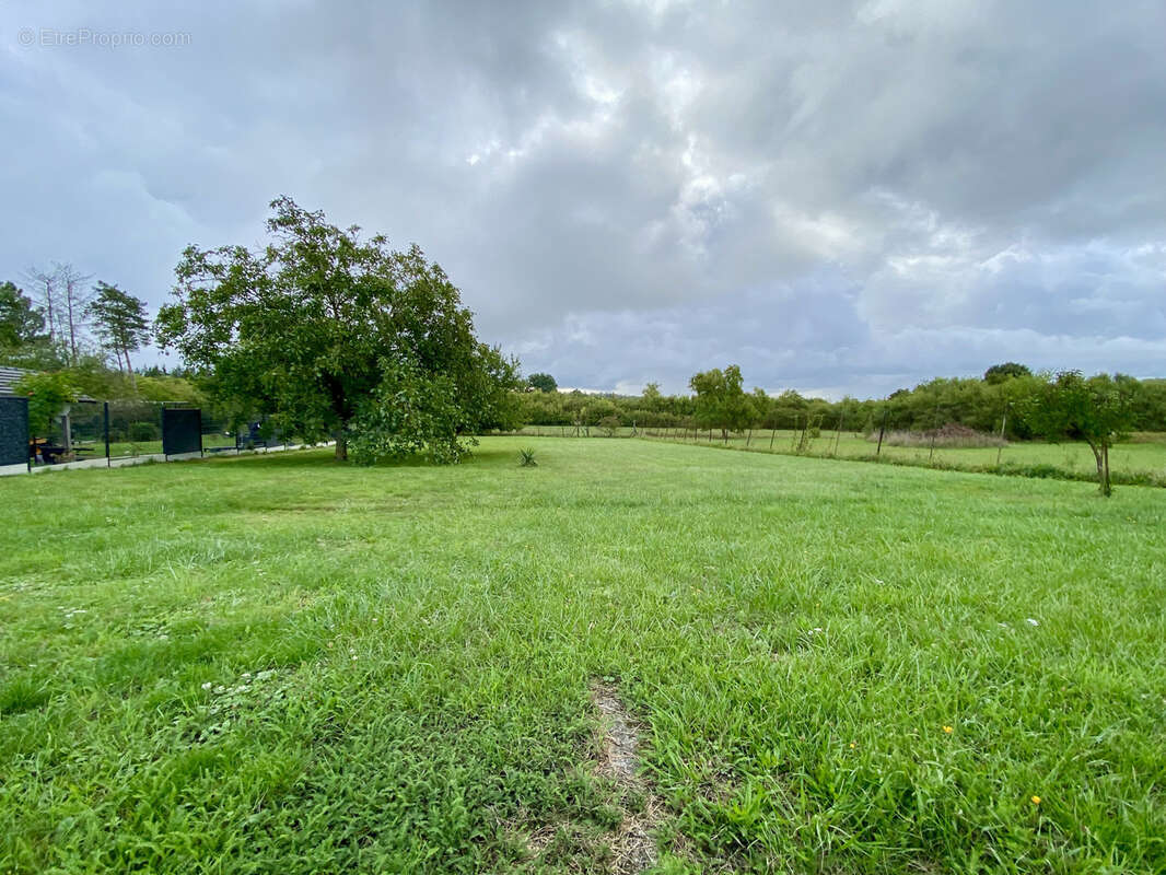 Maison à LOUPERSHOUSE