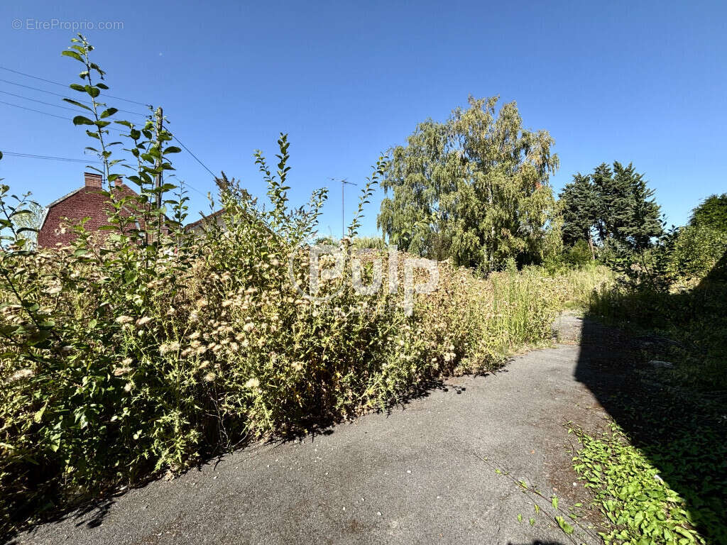 Terrain constructible - Fenain - photo 3