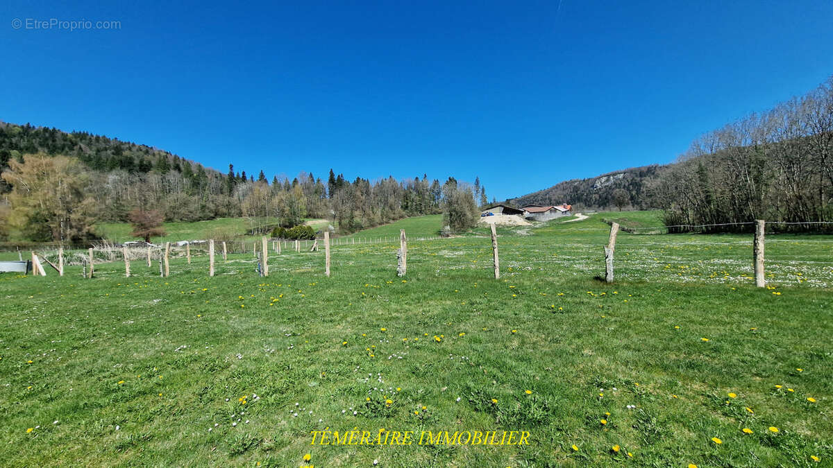 Maison à BOURG-DE-SIROD