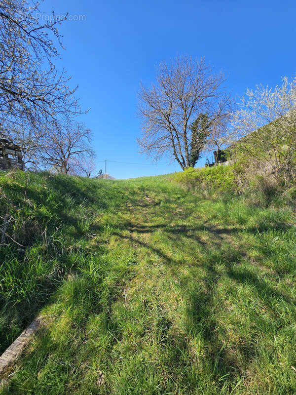 Terrain à ALLEREY-SUR-SAONE