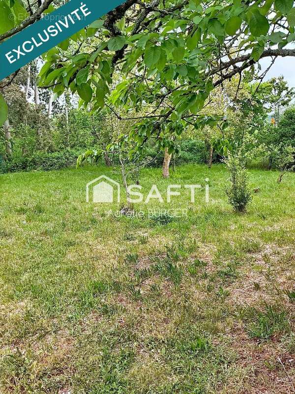 Photo 3 - Appartement à FREYMING-MERLEBACH