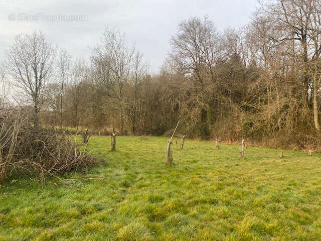 Terrain à TALMONT-SAINT-HILAIRE