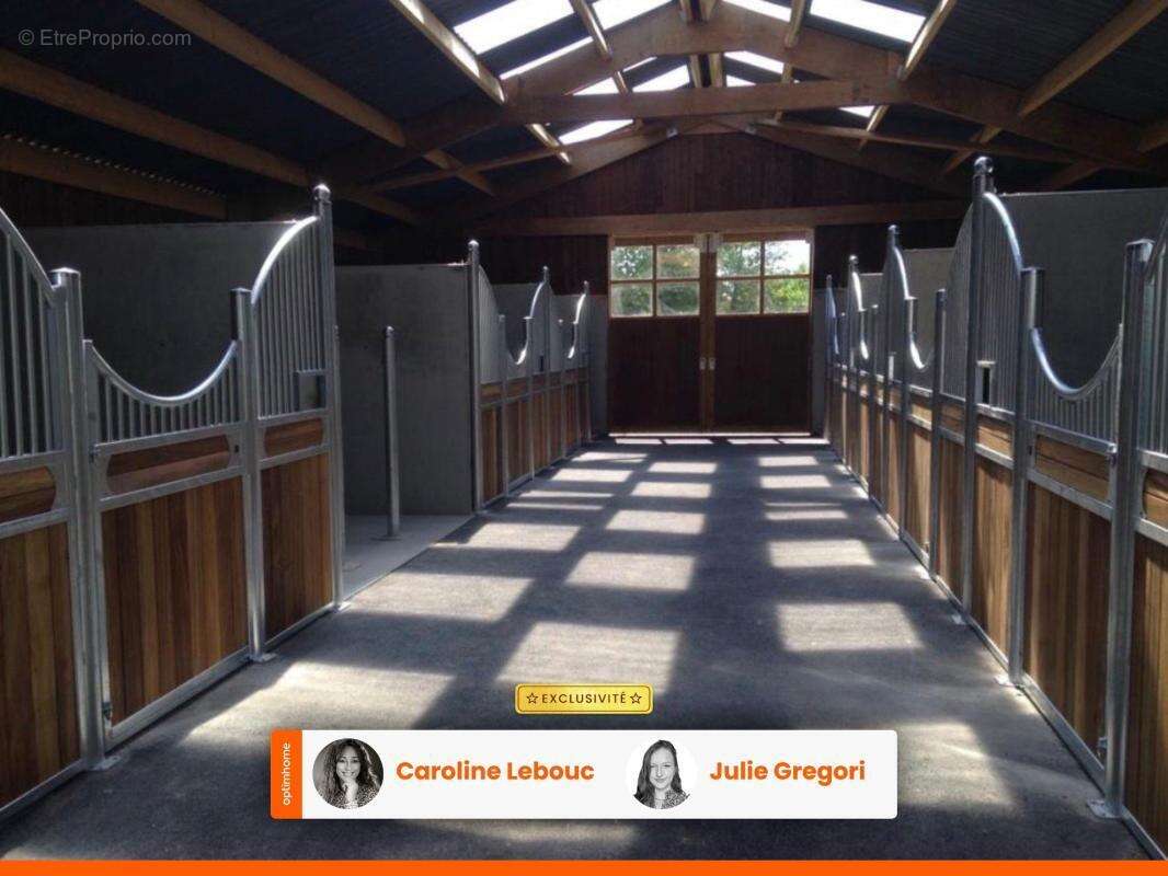 Propriété équestre professionnelle d’exception – Perche - photo 3