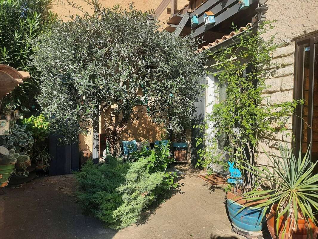 Maison à AVIGNON