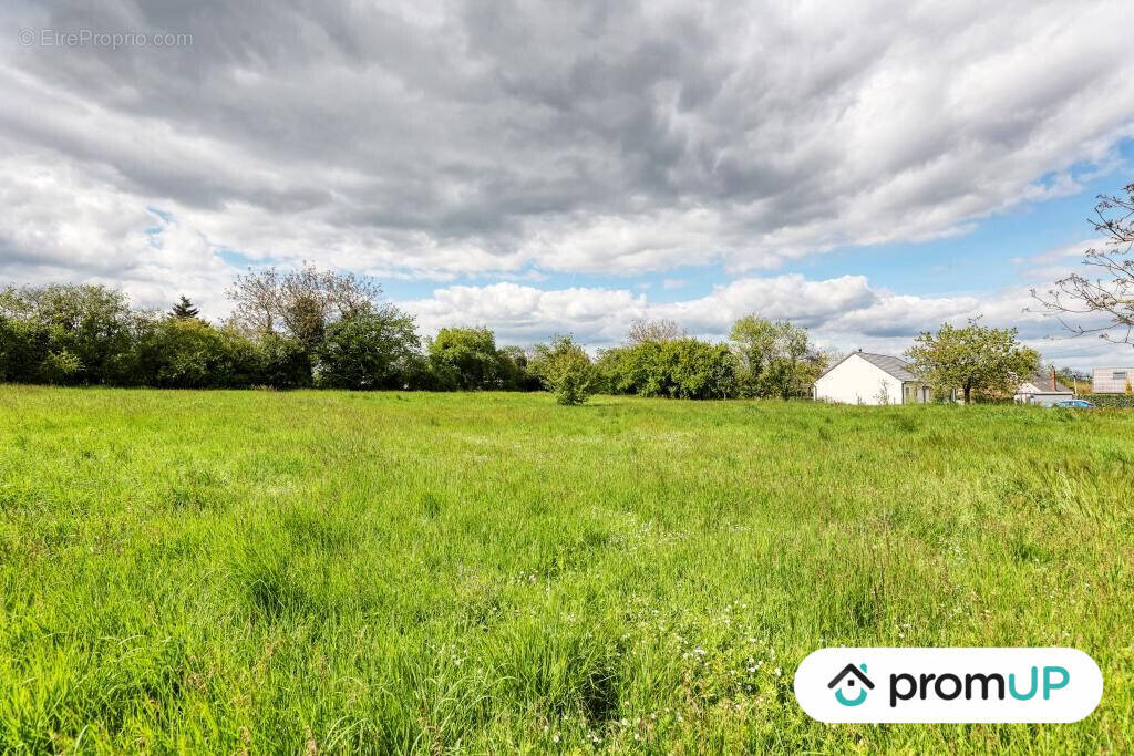 Terrain à NOHANT-EN-GOUT