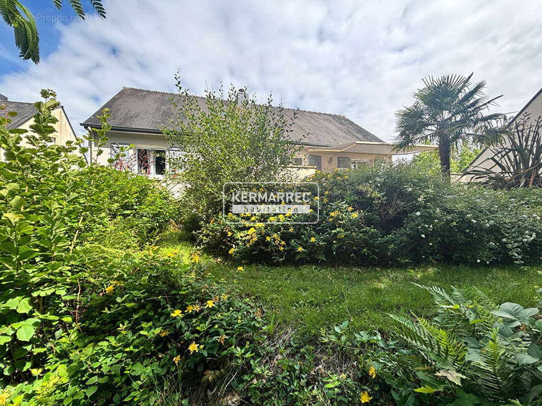 A VENDRE Maison Saint Aubin Des Landes 6 pièce(s) 129 m2 - 261 600  HAI - photo 5