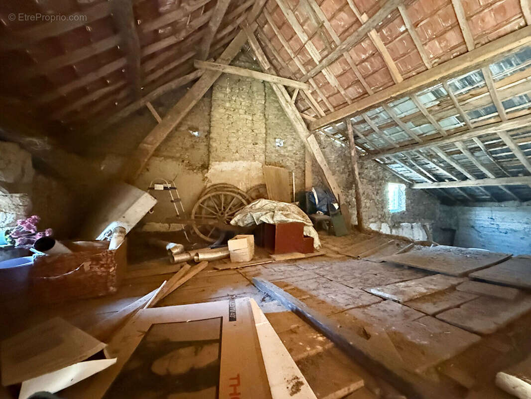 BIOLLET / Grange à fort potentiel de 113 M2 au sol ! - photo 4