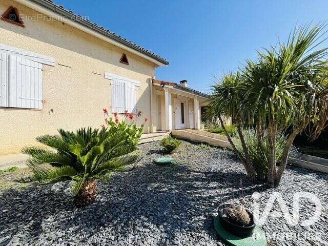 Maison 156 m² à Lafitte-Vigordane  - photo 2