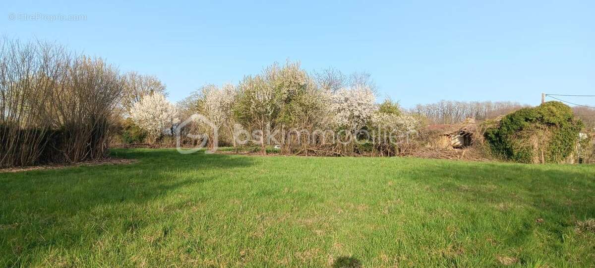 Terrain à vendre - photo 4