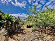 Terrain à SAINT-PIERRE