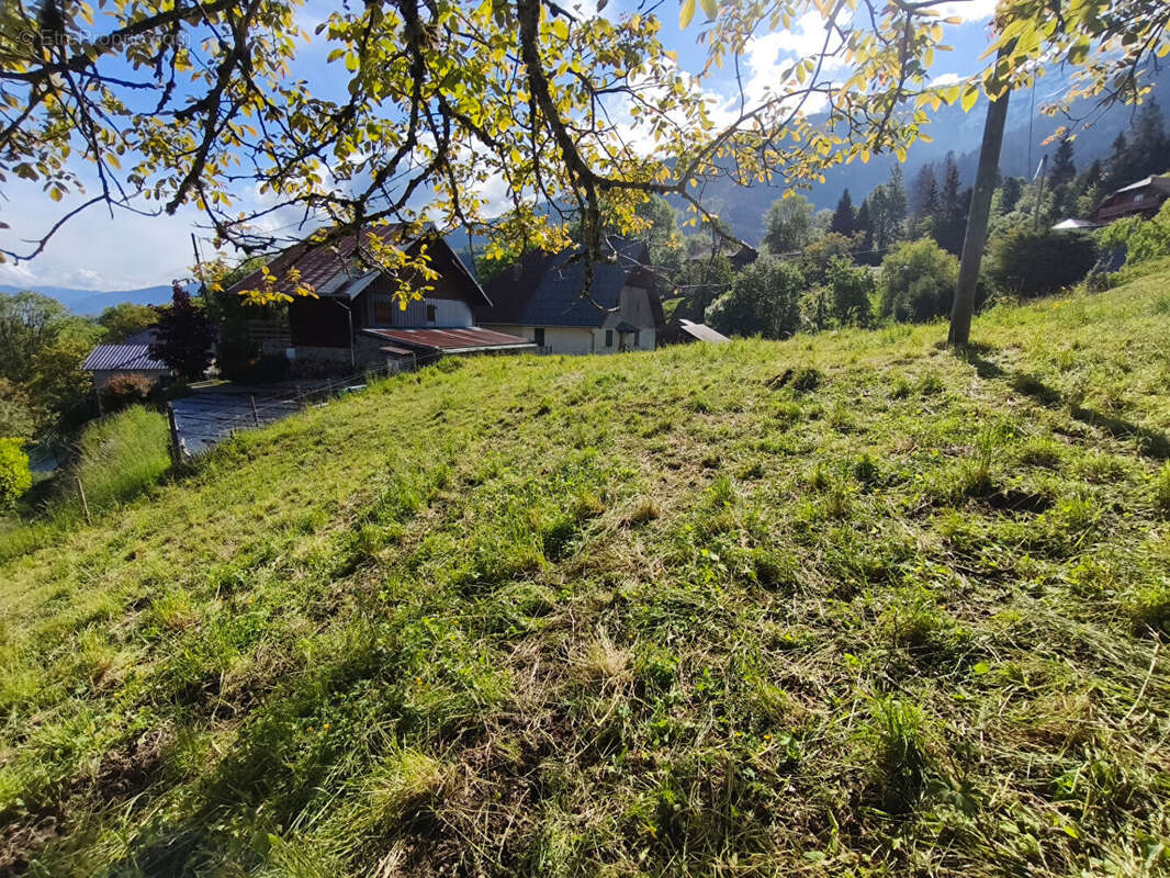 Terrain à BONVILLARD