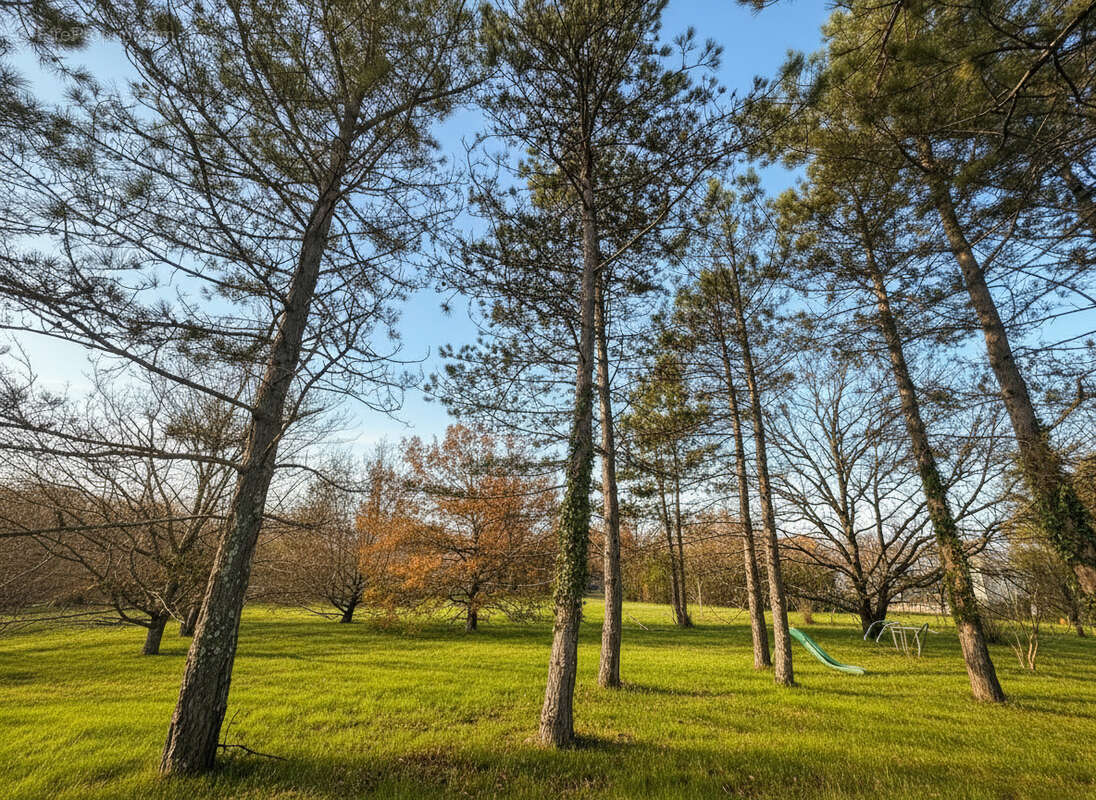 Terrain à MONTBERON