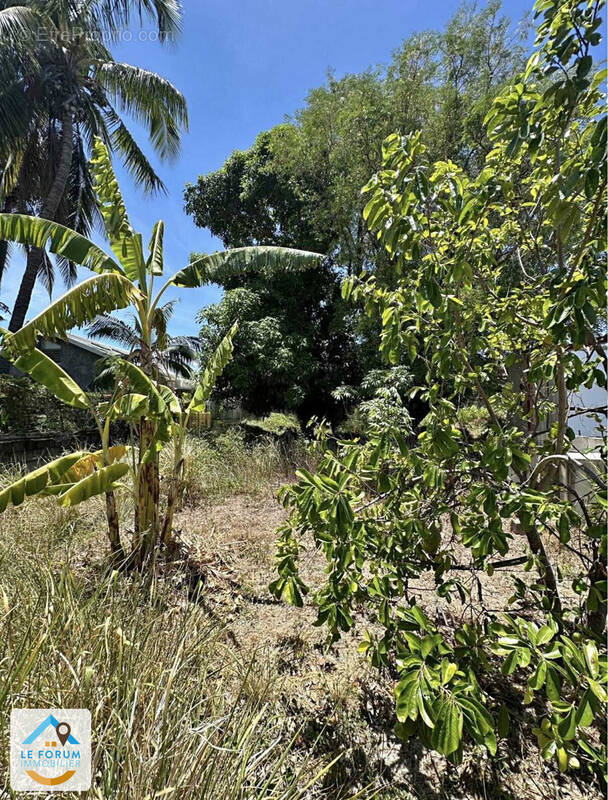 Terrain à SAINT-PIERRE