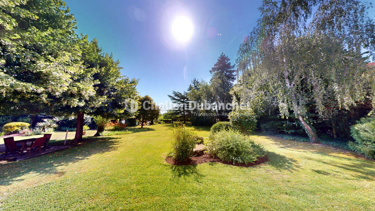 RIORGES (42) - Superbe Maison de Maître avec Parc Arboré, Piscine et Dépendances - photo 2