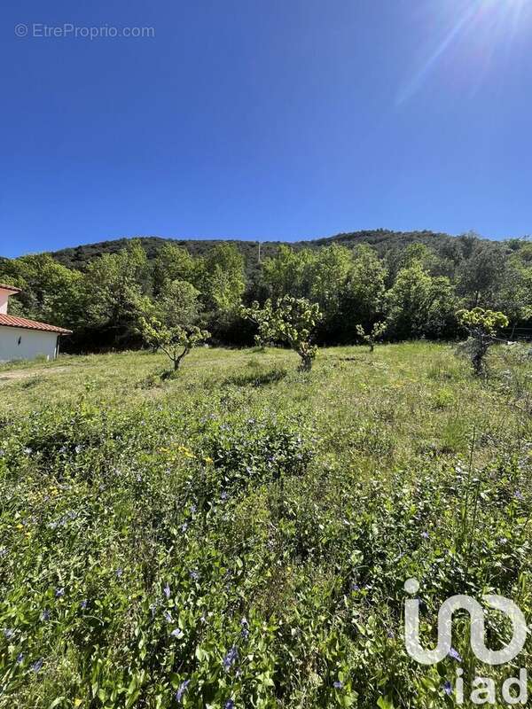 Photo 3 - Terrain à CERET