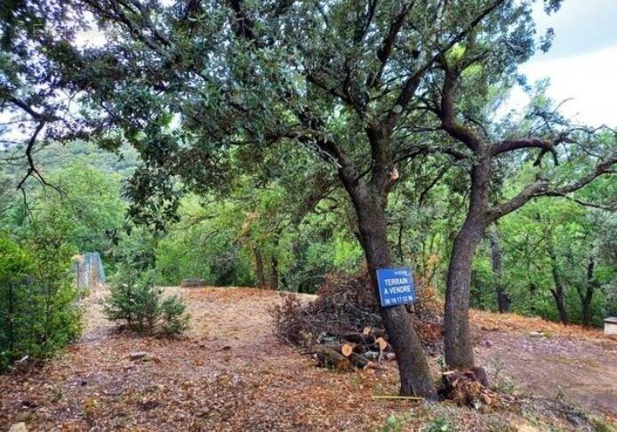 Terrain à SAINT-MONTAN