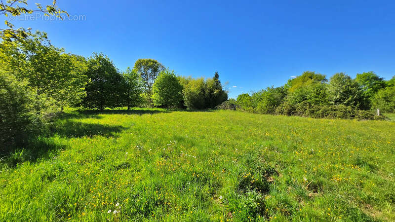Terrain à ORADOUR-SUR-GLANE