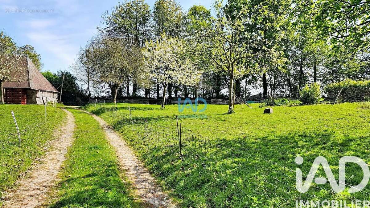 Photo 4 - Autre à FAUVILLE-EN-CAUX
