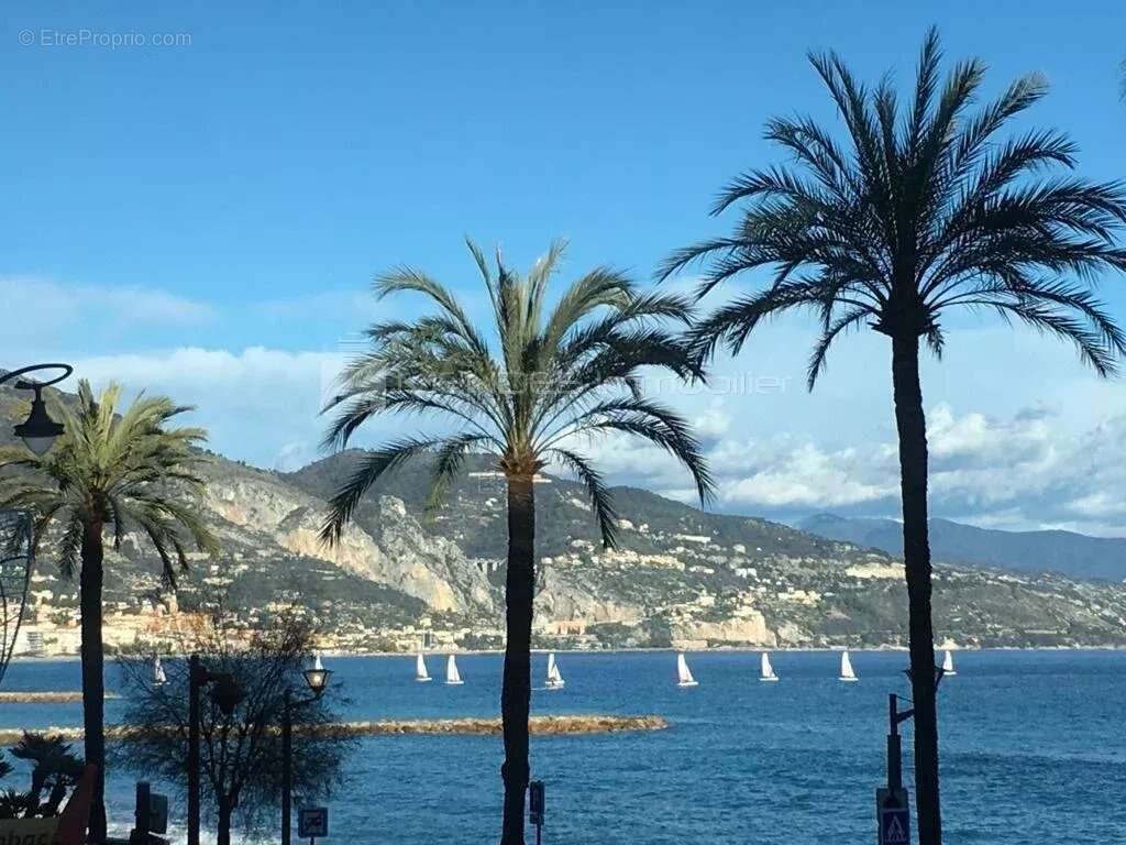 Panoramique mer 3/4 pieces plage roquebrune - photo 11