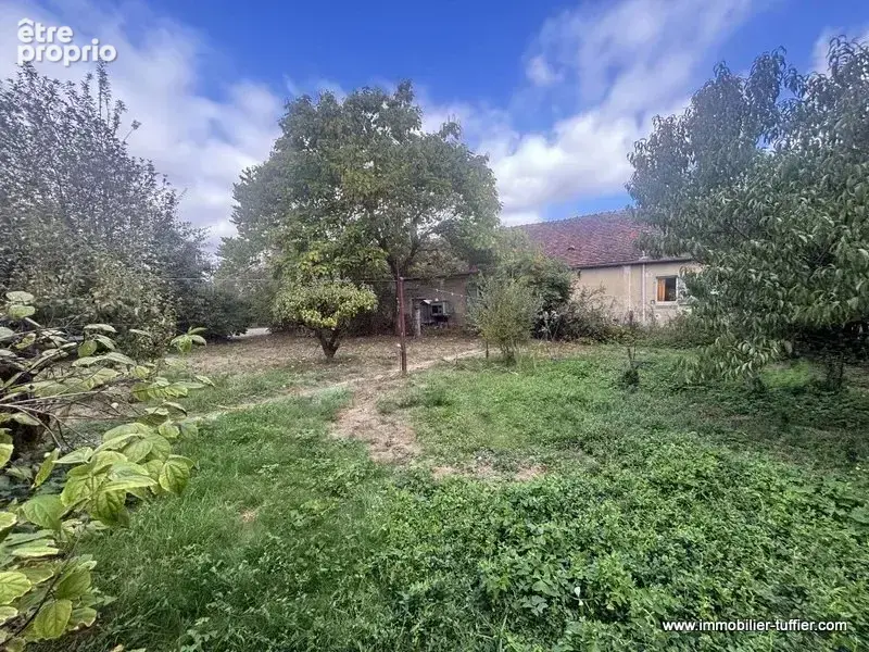– maison à rénover – 8 000 m² de terrain – 120 m² de dépendance - photo 3