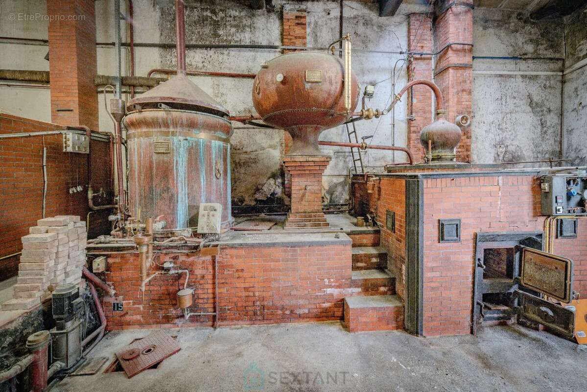 Magnifique propriete avec maison de maitre et dependances sur  + de 3 ha - photo 18