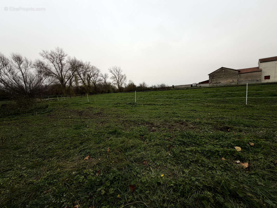 Terrain à BUSSIERES-ET-PRUNS