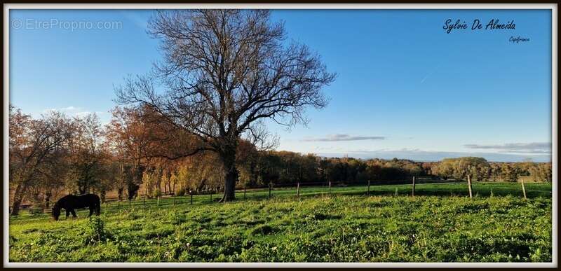 Propriété à vendre entre BIZIAT et PONT DE VEYLE (01) 16,5 Ha, vue, maison 145 m², ferme à rénover 170 m², pigeonnier, hangar, é - photo 19