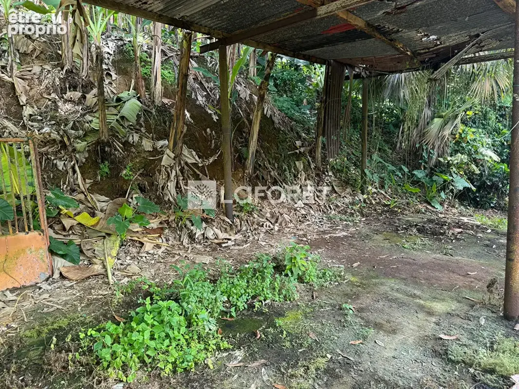 A vendre : Terrain 8505 m² au Lorrain - photo 4