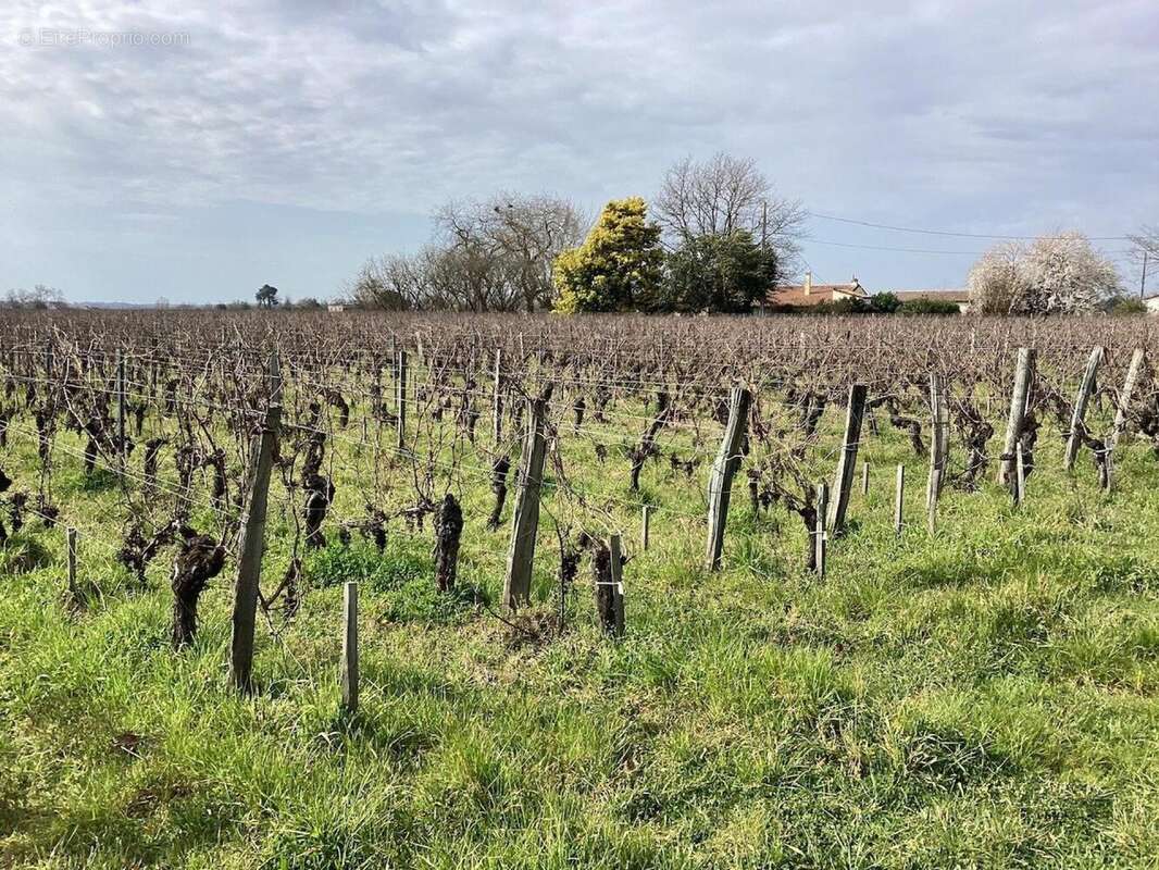 Terrain 940 m² à Saint-Sulpice-De-Faleyrens  - photo 2
