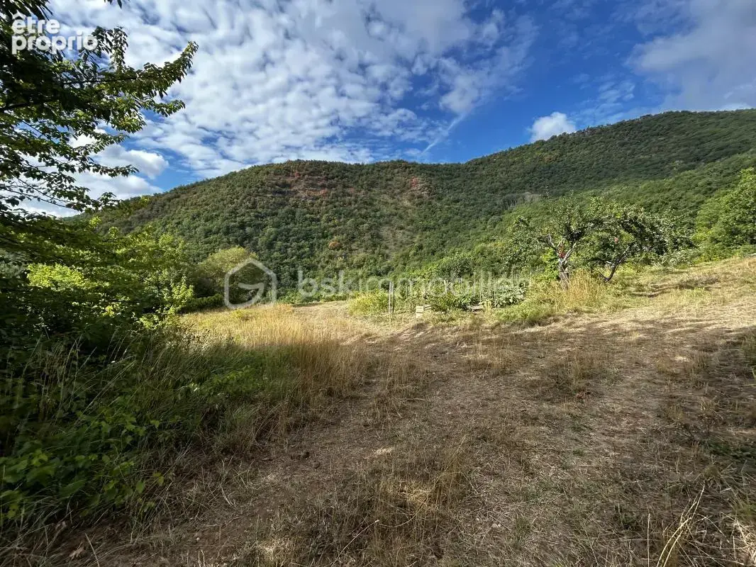 Maison en bois sur parcelle de 2,79 ha ! - photo 8