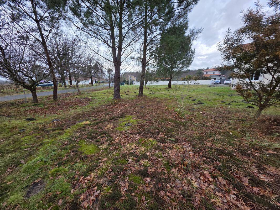 Terrain à BISCARROSSE