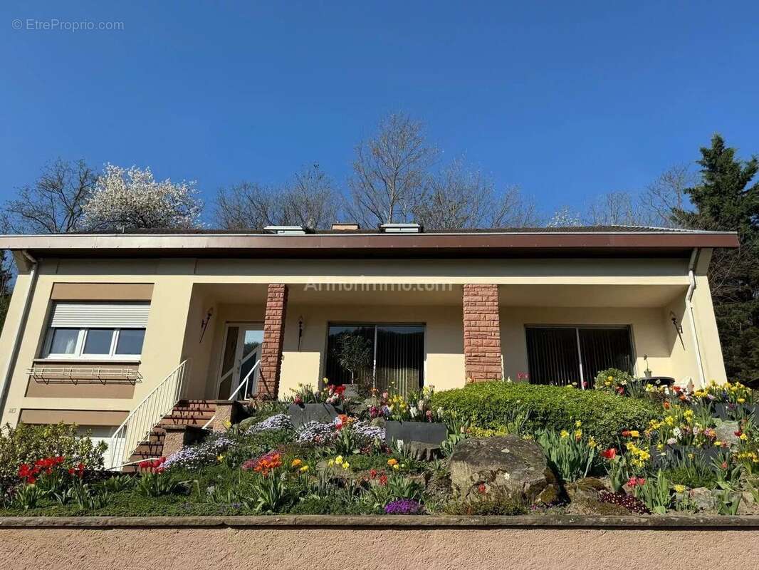 Maison à KAYSERSBERG