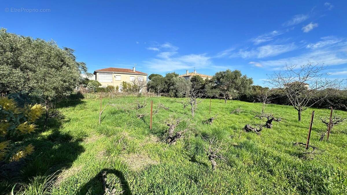Photo 1 - Maison à ABEILHAN