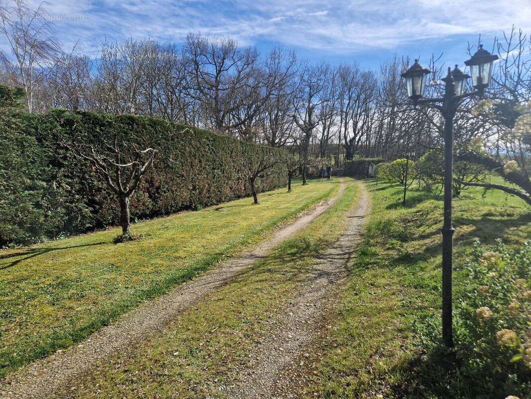 Propriété avec piscine sur environ 1,5 Ha de terrain - photo 18