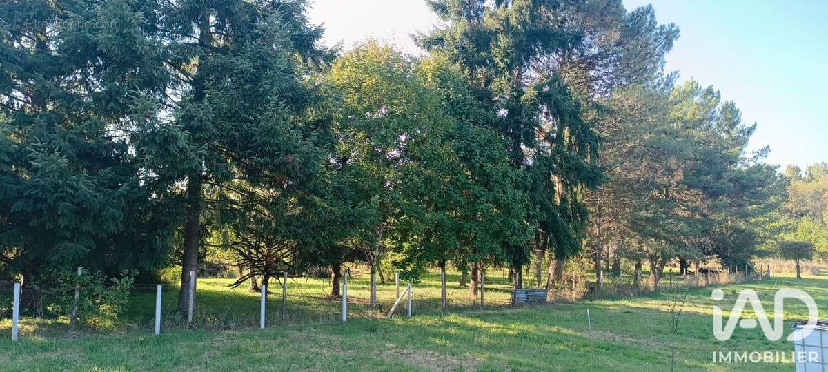 Photo 4 - Maison à SELLES-SUR-CHER