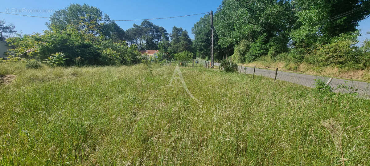 Terrain à SAINT-HILAIRE-DE-RIEZ