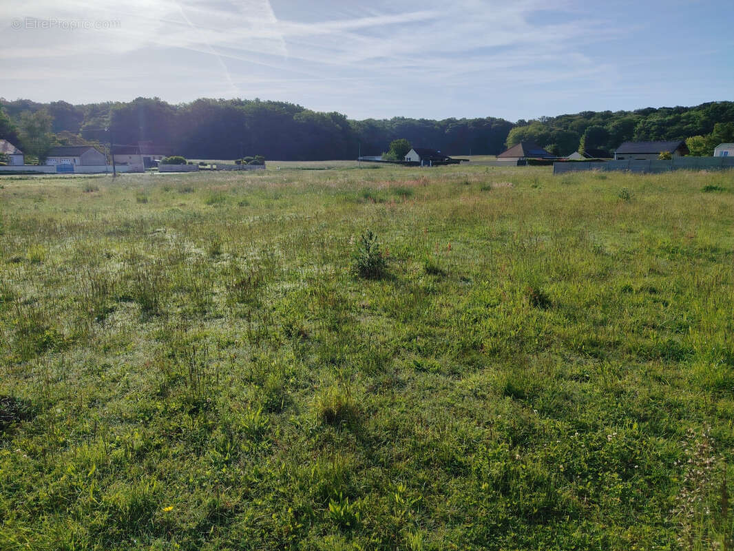 Terrain à PONT-SUR-YONNE