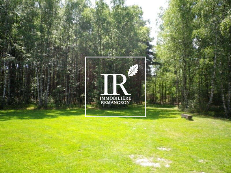 Maison 244 m² à Yvoy-Le-Marron  - photo 8