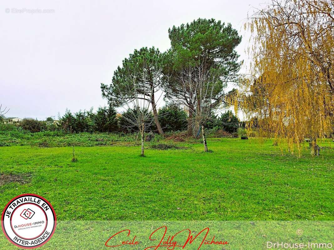 Terrain à CARTELEGUE