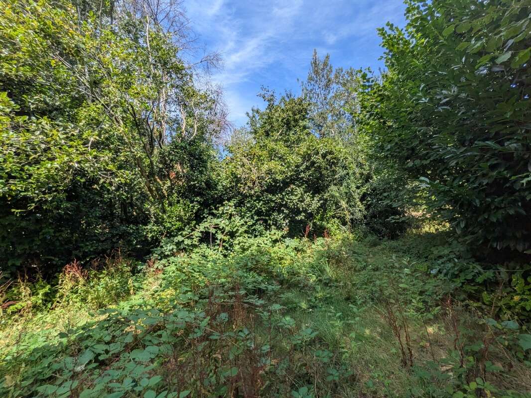 Guemene sur scorff maison bourgeoise  7 pièces 185 m² environ avec garage et dépendances,un puits une parcelle de 3706m² - photo 35