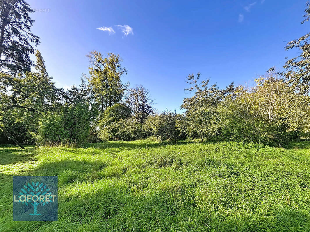 Maison à SAINT-MARC-LE-BLANC